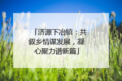 济源下冶镇：共叙乡情谋发展，凝心聚力谱新篇