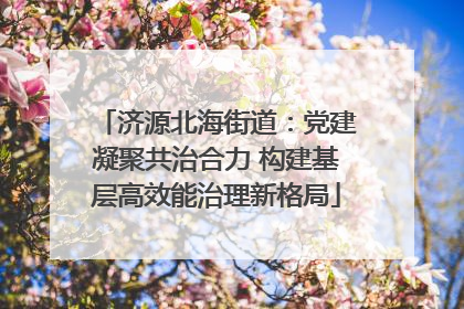 济源北海街道：党建凝聚共治合力 构建基层高效能治理新格局
