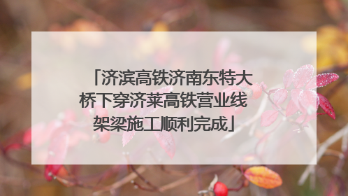 济滨高铁济南东特大桥下穿济莱高铁营业线架梁施工顺利完成