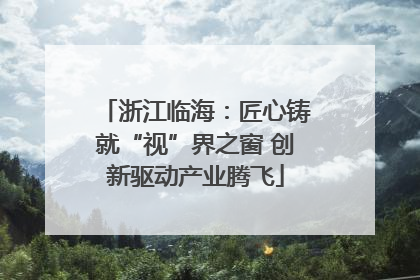 浙江临海：匠心铸就“视”界之窗 创新驱动产业腾飞