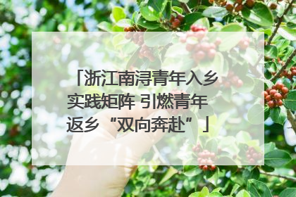 浙江南浔青年入乡实践矩阵 引燃青年返乡“双向奔赴”
