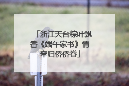 浙江天台粽叶飘香《端午家书》情牵归侨侨眷