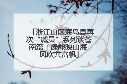 浙江山区海岛县再次“减员”系列谈苍南篇：绿能映山海 风吹共富帆