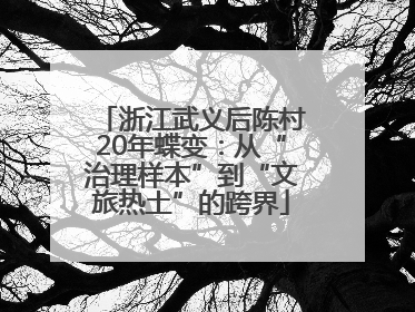 浙江武义后陈村20年蝶变：从“治理样本”到“文旅热土”的跨界