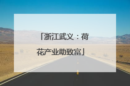 浙江武义：荷花产业助致富
