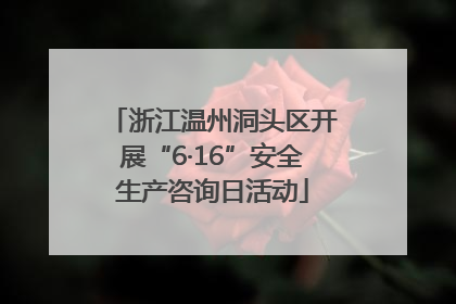 浙江温州洞头区开展“6·16”安全生产咨询日活动