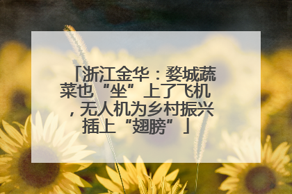 浙江金华：婺城蔬菜也“坐”上了飞机，无人机为乡村振兴插上“翅膀”