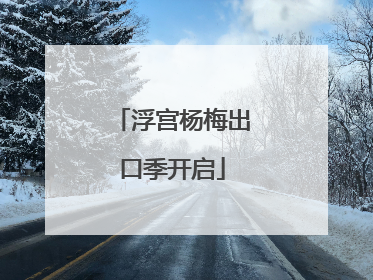 浮宫杨梅出口季开启
