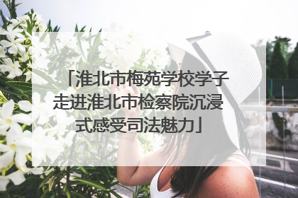 淮北市梅苑学校学子走进淮北市检察院沉浸式感受司法魅力