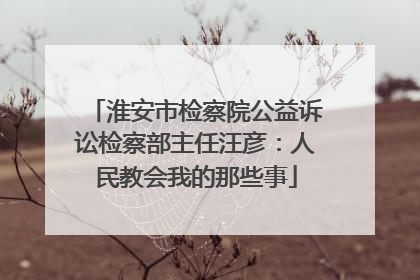 淮安市检察院公益诉讼检察部主任汪彦：人民教会我的那些事