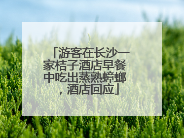 游客在长沙一家桔子酒店早餐中吃出蒸熟蟑螂，酒店回应