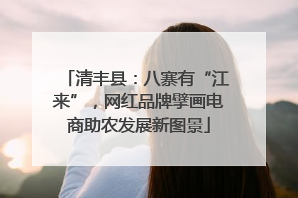 清丰县：八寨有“江来”，网红品牌擘画电商助农发展新图景