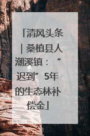 清风头条｜桑植县人潮溪镇：“迟到”5年的生态林补偿金