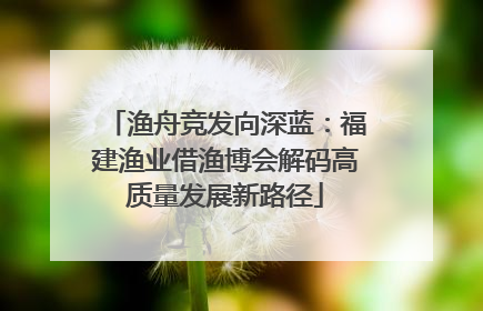渔舟竞发向深蓝：福建渔业借渔博会解码高质量发展新路径