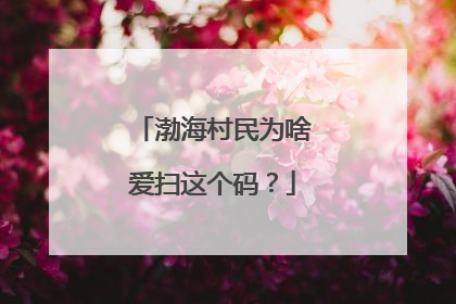 渤海村民为啥爱扫这个码？