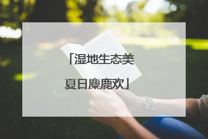 湿地生态美 夏日麋鹿欢