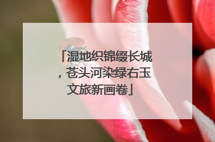 湿地织锦缀长城，苍头河染绿右玉文旅新画卷