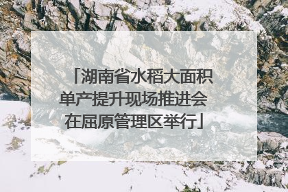 湖南省水稻大面积单产提升现场推进会在屈原管理区举行