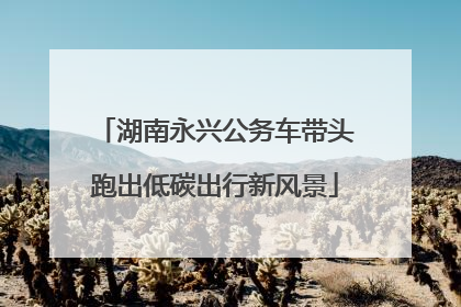 湖南永兴公务车带头跑出低碳出行新风景