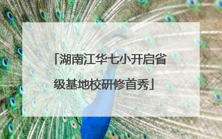 湖南江华七小开启省级基地校研修首秀
