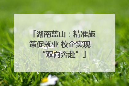 湖南蓝山：精准施策促就业 校企实现“双向奔赴”