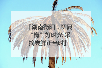 湖南衡阳：初夏“梅”好时光 采摘尝鲜正当时