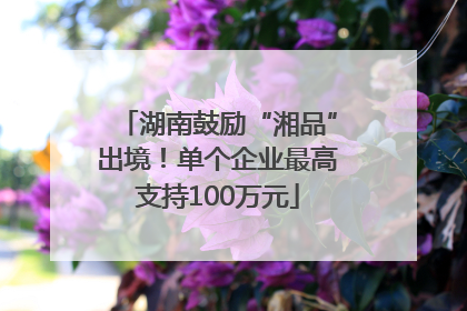 湖南鼓励“湘品”出境！单个企业最高支持100万元