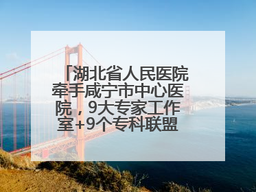 湖北省人民医院牵手咸宁市中心医院，9大专家工作室+9个专科联盟筑牢区域医疗网