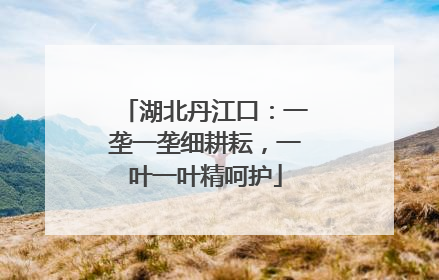 湖北丹江口：一垄一垄细耕耘，一叶一叶精呵护