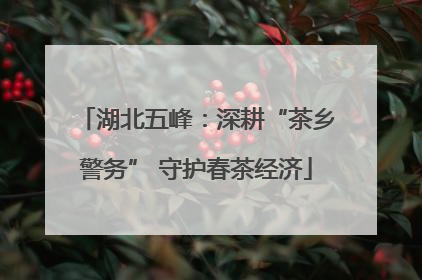 湖北五峰：深耕“茶乡警务” 守护春茶经济