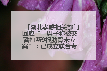 湖北孝感相关部门回应“一男子称被交警打断9根肋骨未立案”：已成立联合专班开展工作