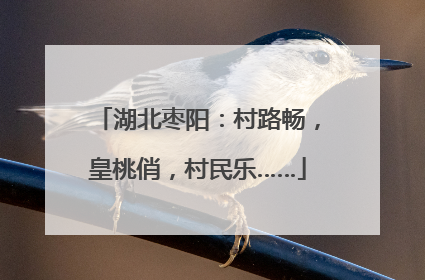 湖北枣阳：村路畅，皇桃俏，村民乐……