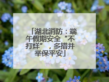 湖北消防：端午假期安全“不打烊”，多措并举保平安