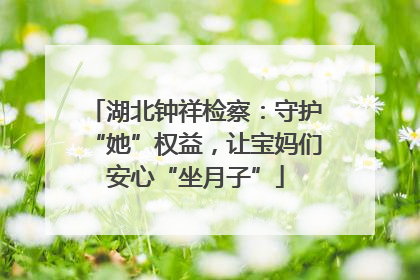 湖北钟祥检察：守护“她”权益，让宝妈们安心“坐月子”