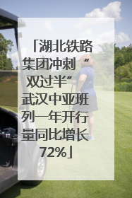 湖北铁路集团冲刺“双过半” 武汉中亚班列一年开行量同比增长72%