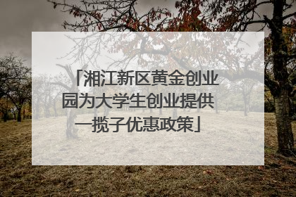 湘江新区黄金创业园为大学生创业提供一揽子优惠政策