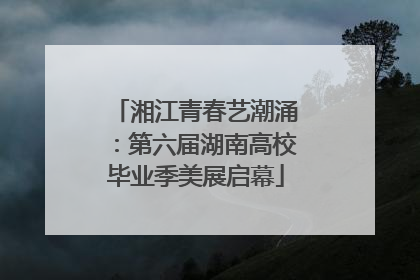湘江青春艺潮涌：第六届湖南高校毕业季美展启幕