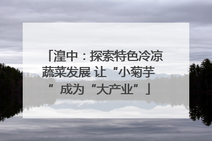 湟中：探索特色冷凉蔬菜发展 让“小菊芋”成为“大产业”