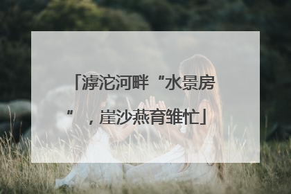 滹沱河畔“水景房”，崖沙燕育雏忙