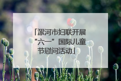 漯河市妇联开展“六一”国际儿童节慰问活动