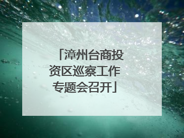 漳州台商投资区巡察工作专题会召开