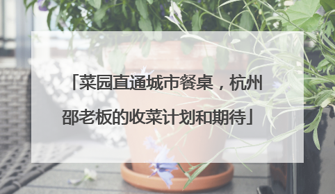菜园直通城市餐桌，杭州邵老板的收菜计划和期待