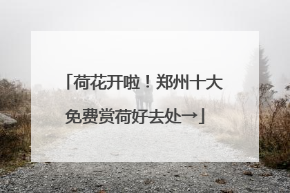 荷花开啦！郑州十大免费赏荷好去处→