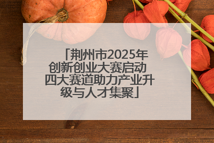 荆州市2025年创新创业大赛启动 四大赛道助力产业升级与人才集聚
