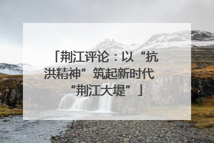 荆江评论：以“抗洪精神”筑起新时代“荆江大堤”