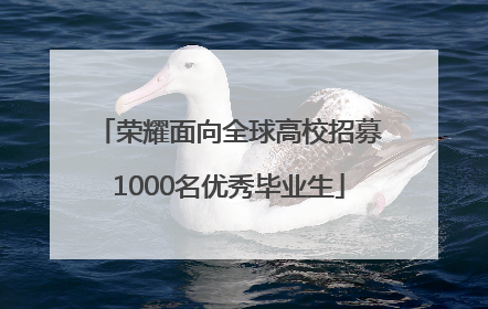 荣耀面向全球高校招募1000名优秀毕业生