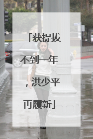 获提拔不到一年，洪少平再履新