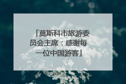 莫斯科市旅游委员会主席：感谢每一位中国游客