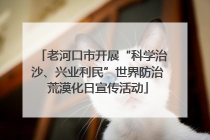老河口市开展“科学治沙、兴业利民”世界防治荒漠化日宣传活动