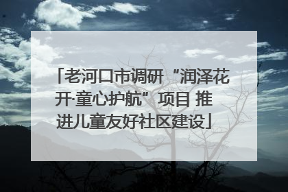 老河口市调研“润泽花开·童心护航”项目 推进儿童友好社区建设